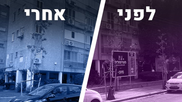 שלט לא חוקי שהוסר ברחובות תל אביב 