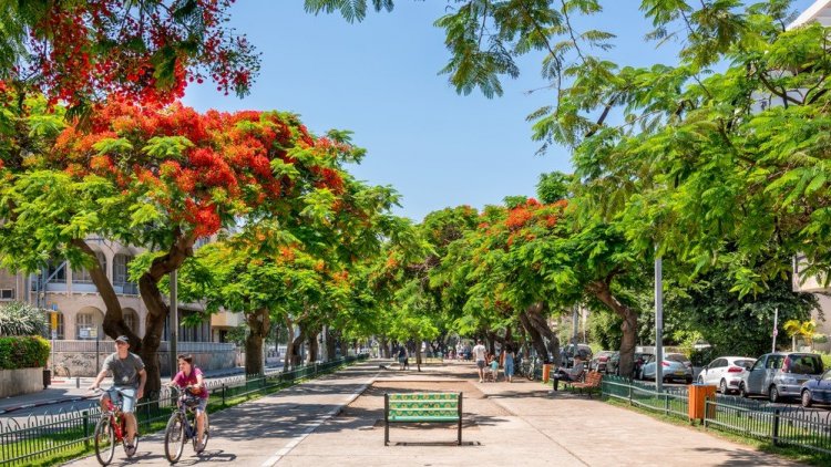 שדרות רוטשילד בתל אביב (שאטרסטוק)