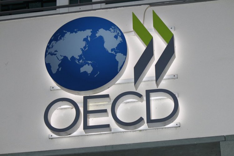 סמל ארגון ה-OECD (שאטרסטוק)