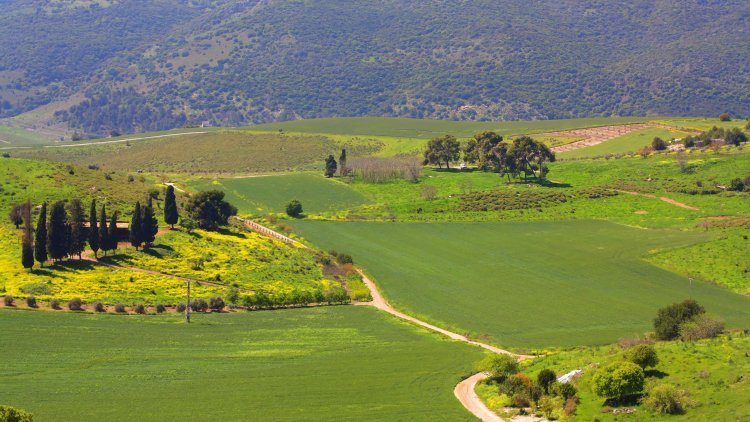 הגליל התחתון (שאטרסטוק)