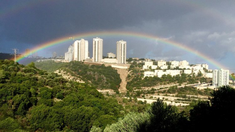 נשר (אלכס רינגר, ויקימדיה) 