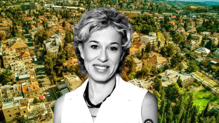 עו"ד דפנה תמיר על רקע שכונת המושבה הגרמנית ממבט-על (באדיבות מנהל התכנון, חגי אגמון-שניר, ויקימדיה) עו"ד דפנה תמיר על רקע שכונת המושבה הגרמנית ממבט-על (באדיבות מנהל התכנון, חגי אגמון-שניר, ויקימדיה)