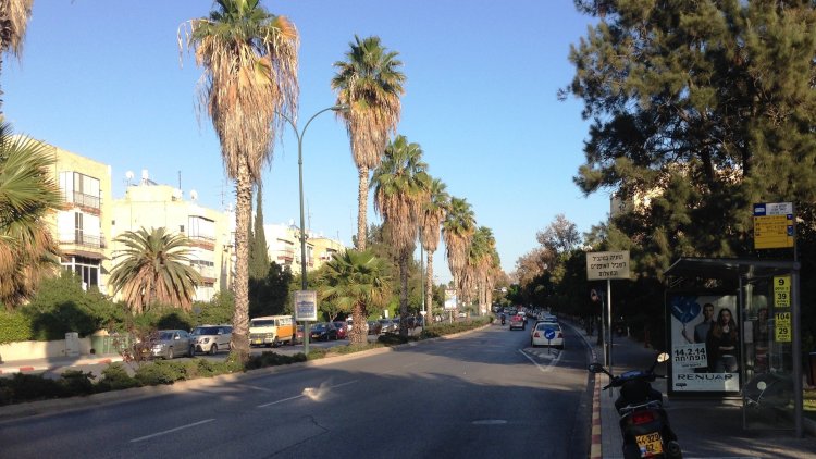 זיו יעקובי, מנכ"ל אקרו, על רקע רחוב יצחק שדה בת"א (אלכס פרגמנט, Ariel Palmon, ויקימדיה) זיו יעקובי, מנכ"ל אקרו, על רקע רחוב יצחק שדה בת"א (אלכס פרגמנט, Ariel Palmon, ויקימדיה)