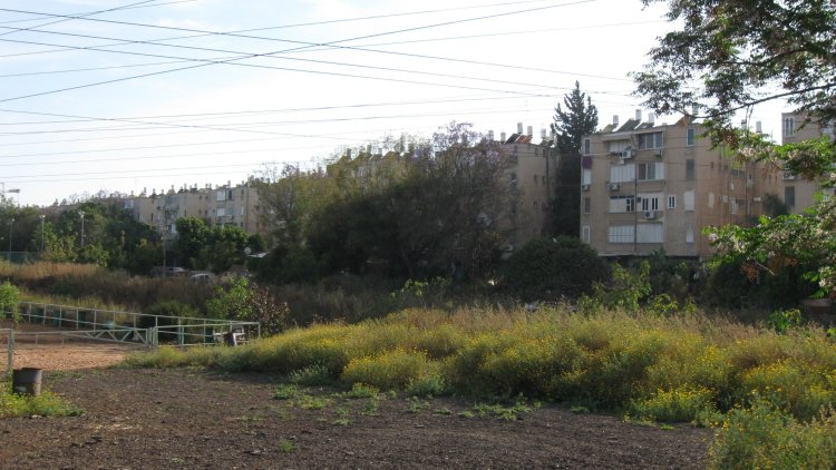נווה שרת (אורי, ויקימדיה) נווה שרת (אורי, ויקימדיה)
