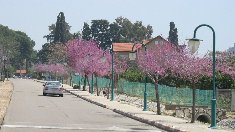 כביש הכניסה למושב לימן (PMATAS, ויקימדיה) כביש הכניסה למושב לימן (PMATAS, ויקימדיה)