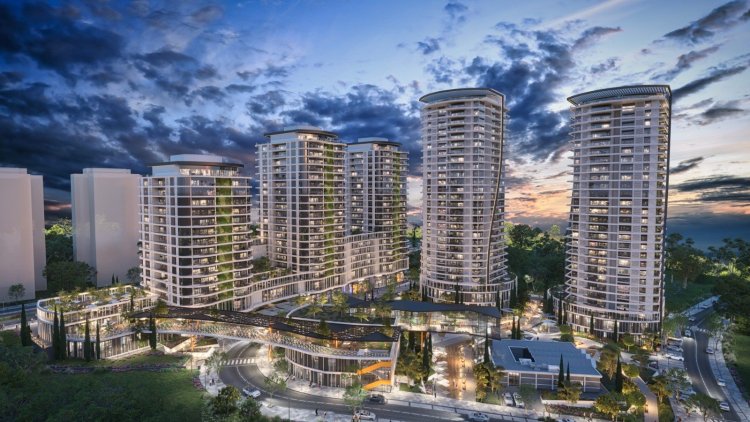 הדמיה של התוכנית בקריית אליעזר (סנפשוט) הדמיה של התוכנית בקריית אליעזר (סנפשוט)