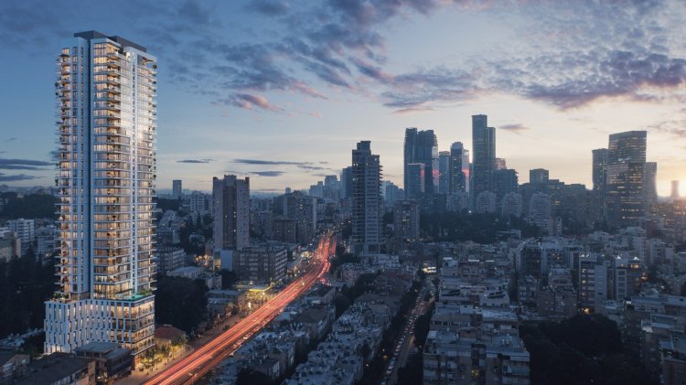 הדמיית הפרויקט (3dvision)