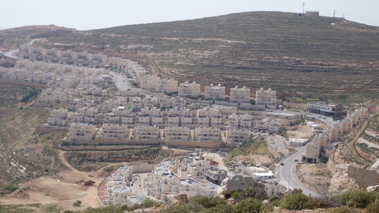 גבעת זאב (מיכאל יעקובסון, ויקימדיה) 