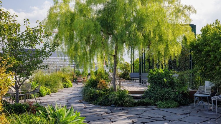 משרדי מזרח ומערב, אורבך הלוי אדריכלים, צלם: עוזי פורת