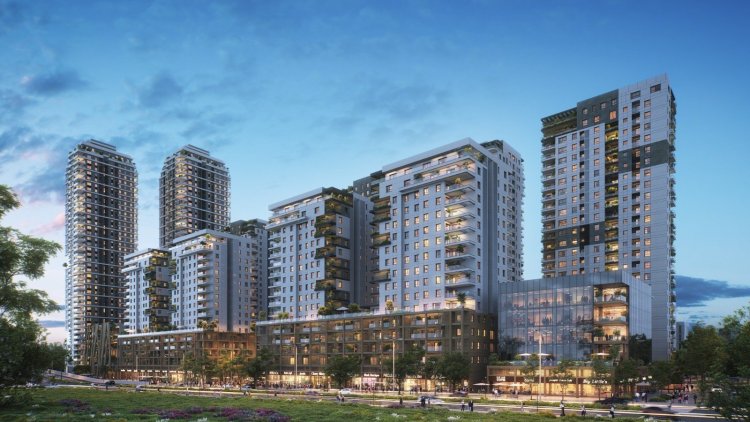 הדמיה של הפרויקטי (3DVISION)