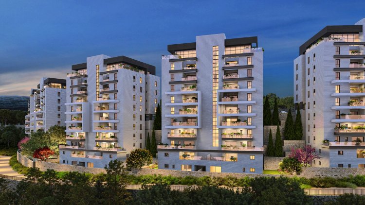 אפי בהר יונה (זיתוני הדמיות)