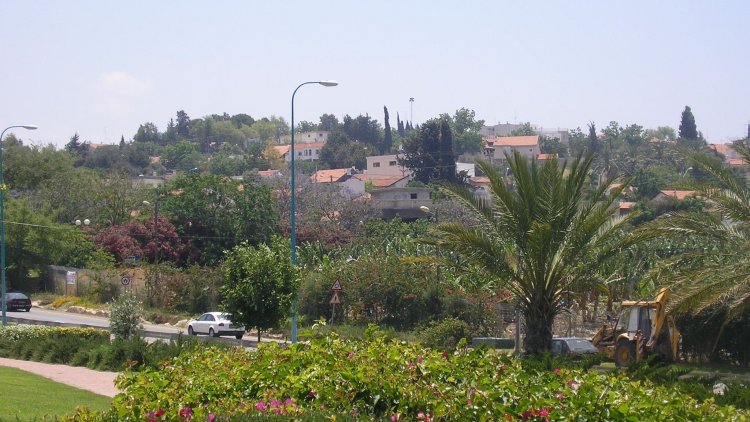שלומי (Almog, ויקימדיה) 