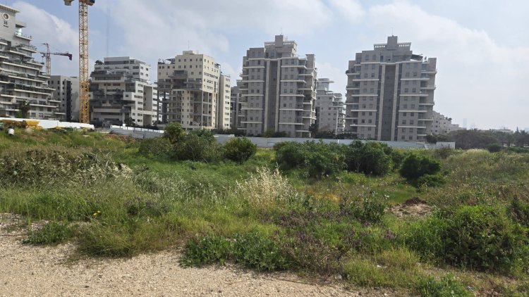 המגרש ברמת השרון (ט.ג.ב ניהול)