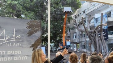 אחרי שני עשורים של עיכובים: בכמה נמכרו הדירות הראשונות במתחם דפנה בת"א? 