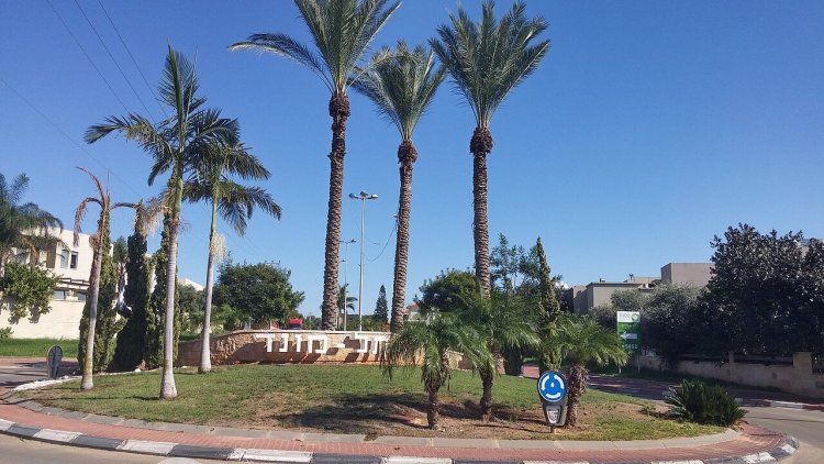 המועצה המקומית תל מונד (דוד שי, ויקימדיה)