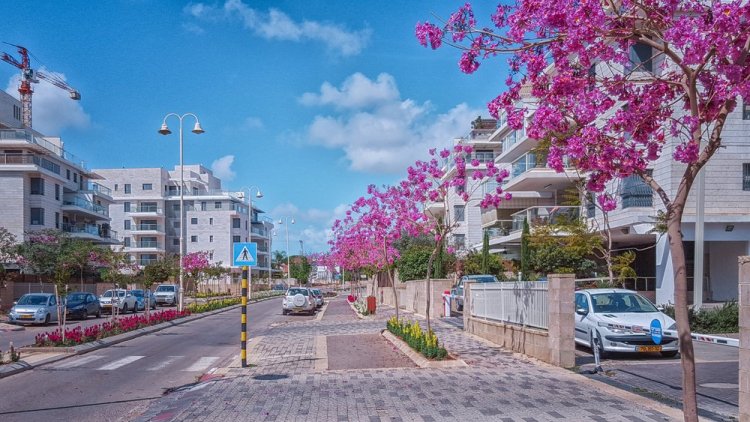 בנייה חדשה בנס ציונה (verbaska / Shutterstock.com)