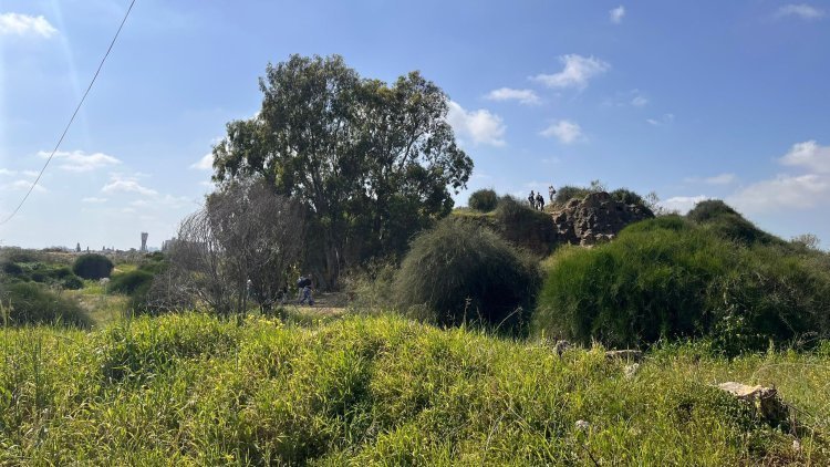 שטח טבעי בתחומי התוכנית (מינהל התכנון)