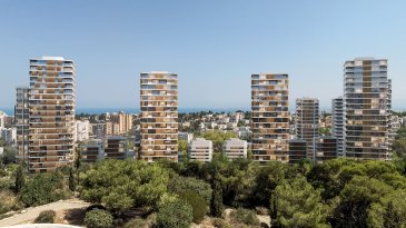 אור ירוק לתוכנית הענק של בוני התיכון בחיפה: כ-1,200 יח"ד בפינוי-בינוי בנווה שאנן