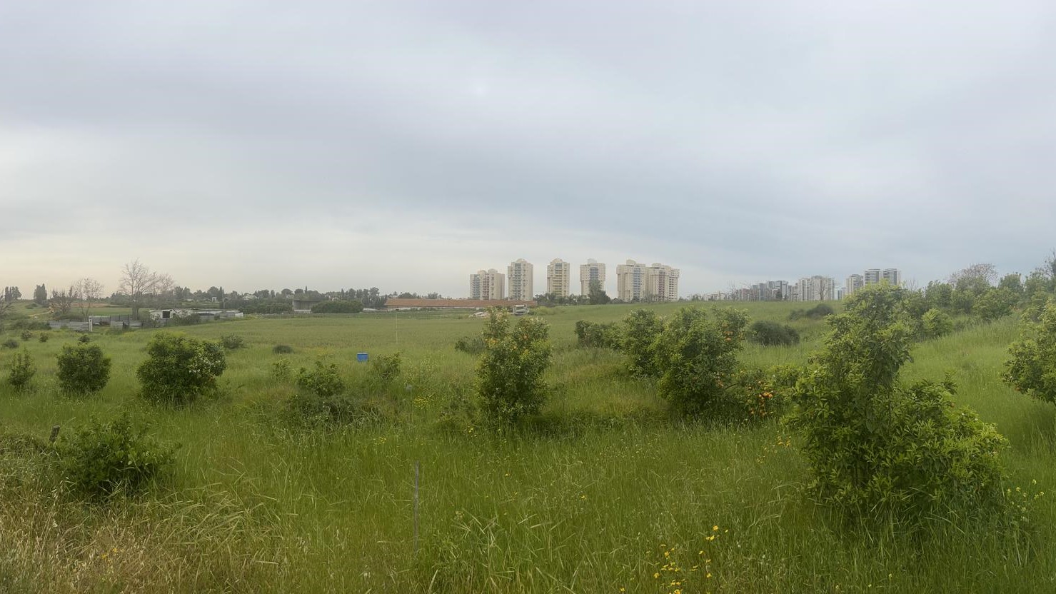 השטח שאושר כאזור מטרופוליני באזור קריית אונו (אחישלום אלמוג)