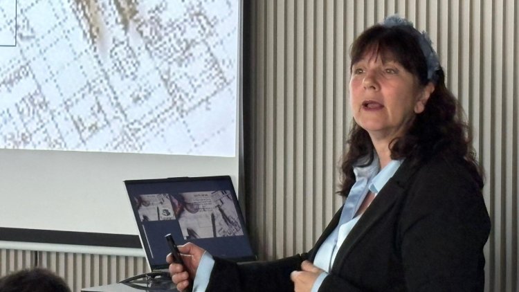 "פערים זעירים וחסרי משמעות". שירה ברנד (מרכז הנדל"ן)