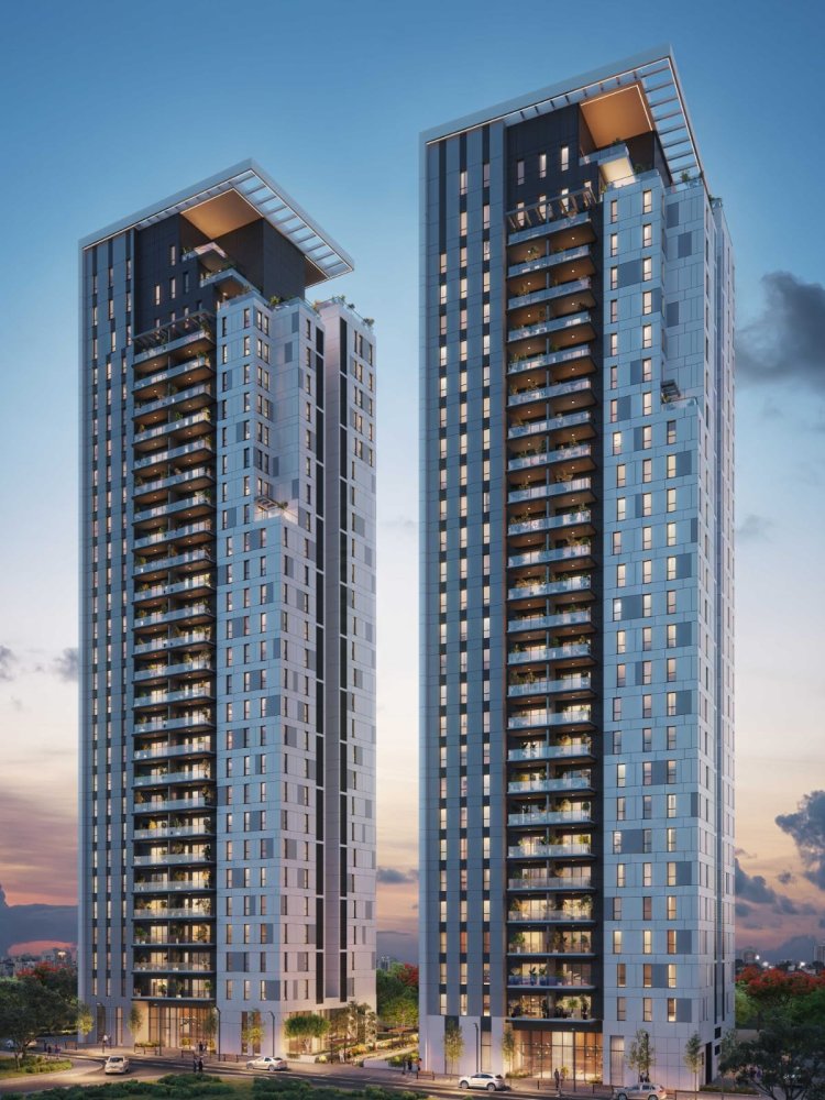 הדמיה של הפרויקט (3DVISION)