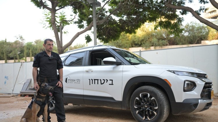 סיירת השמירה של כלבי אשמורת באתר בנייה (כלבי אשמורת)