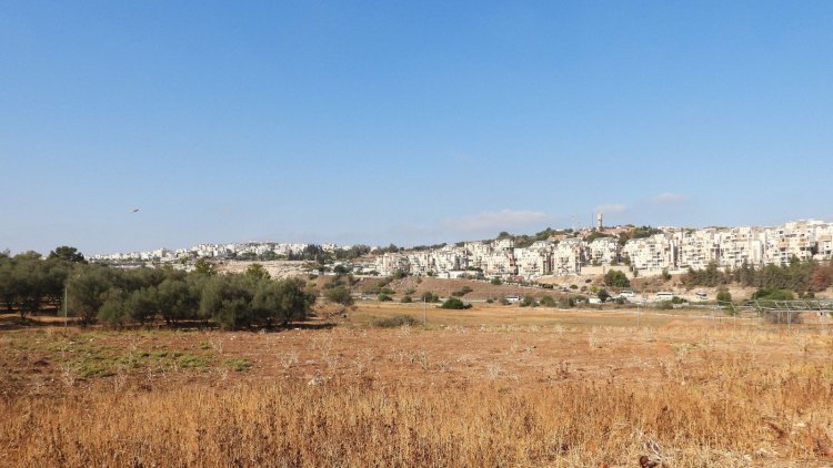 שטח התוכנית בבית שמש ( דב גרינבלט, החברה להגנת הטבע)