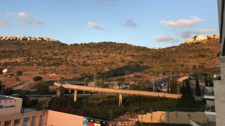 הקרקע בחיפה (שחר טורג'מן)