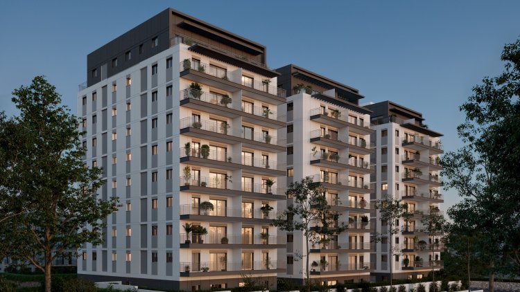 הדמיה של הפרויקט (חברת ארז-תירוש)